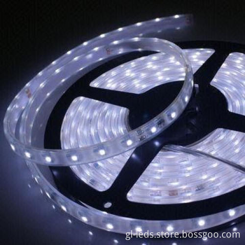 Wateproof Dream Color LED Flexible Strip with IC